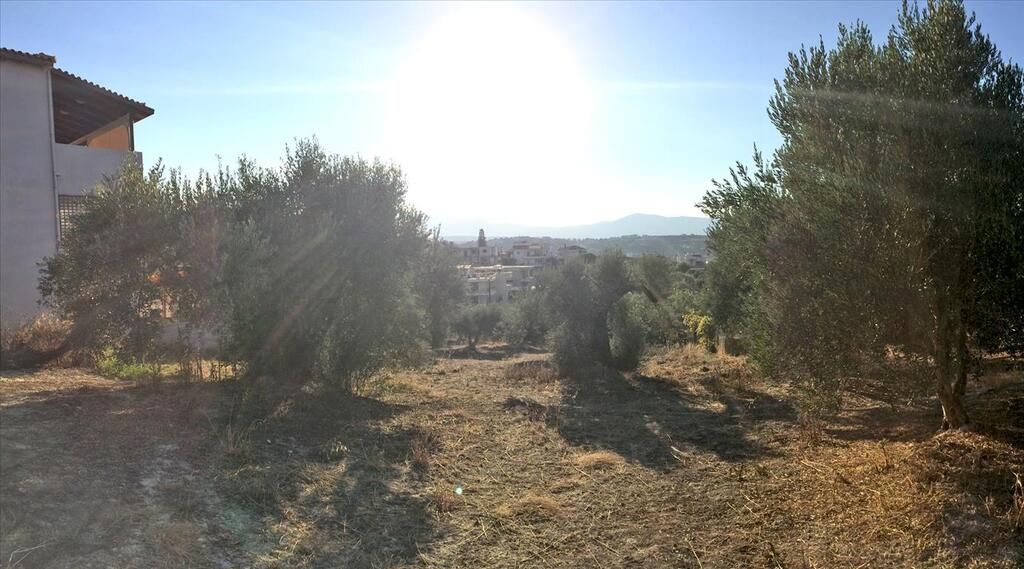 Земля в Ираклионе, Греция, 3 200 м² - фото 4