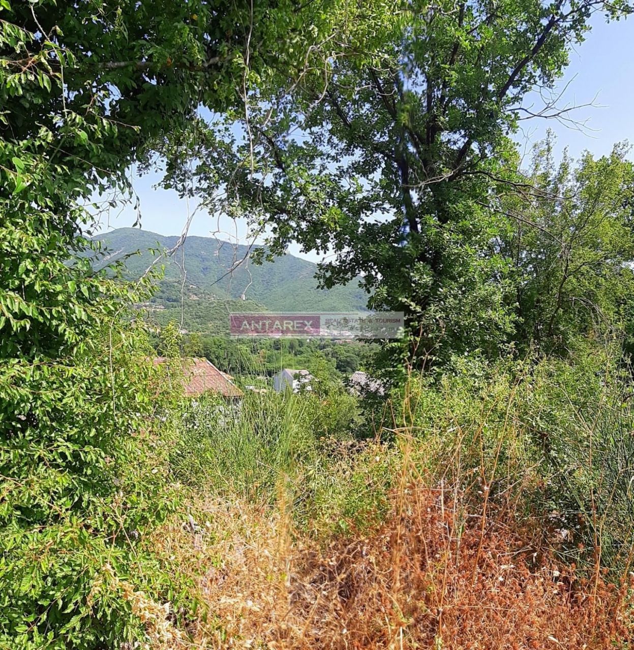 Земля в Зеленике, Черногория, 2 500 м² - фото 2