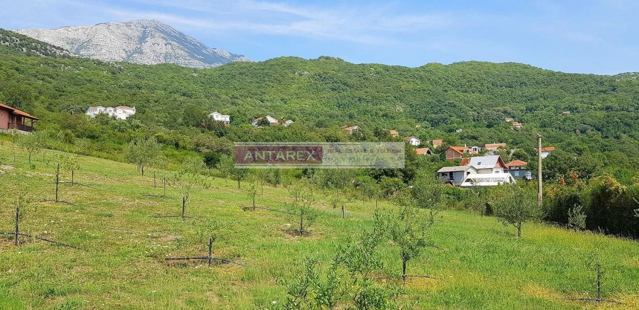 Земля в Херцег-Нови, Черногория, 1 885 м² - фото 7