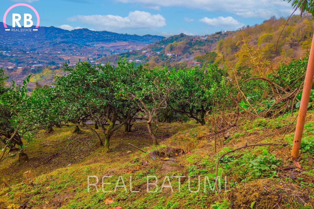 Земля в Батуми, Грузия, 2 504 м² - фото 8