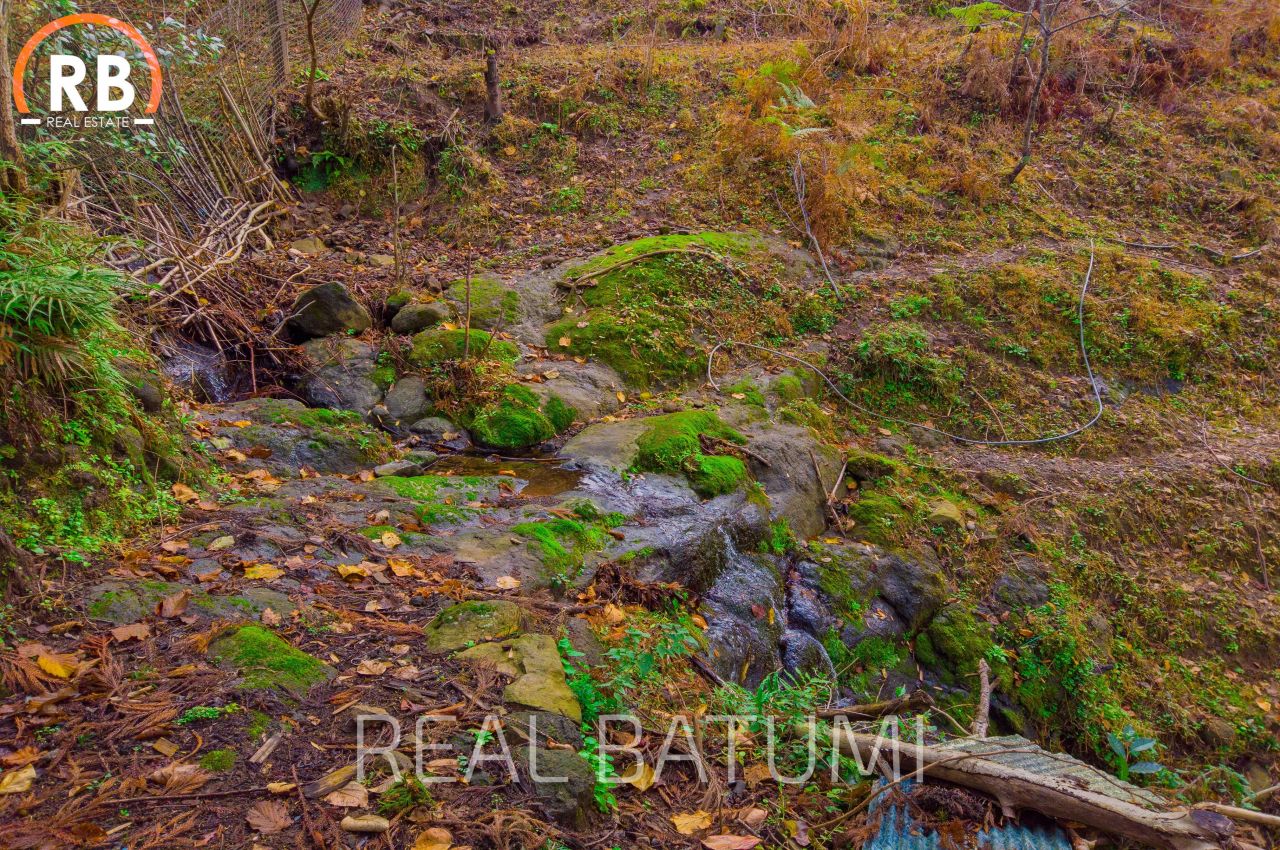 Земля в Батуми, Грузия, 2 504 м² - фото 6