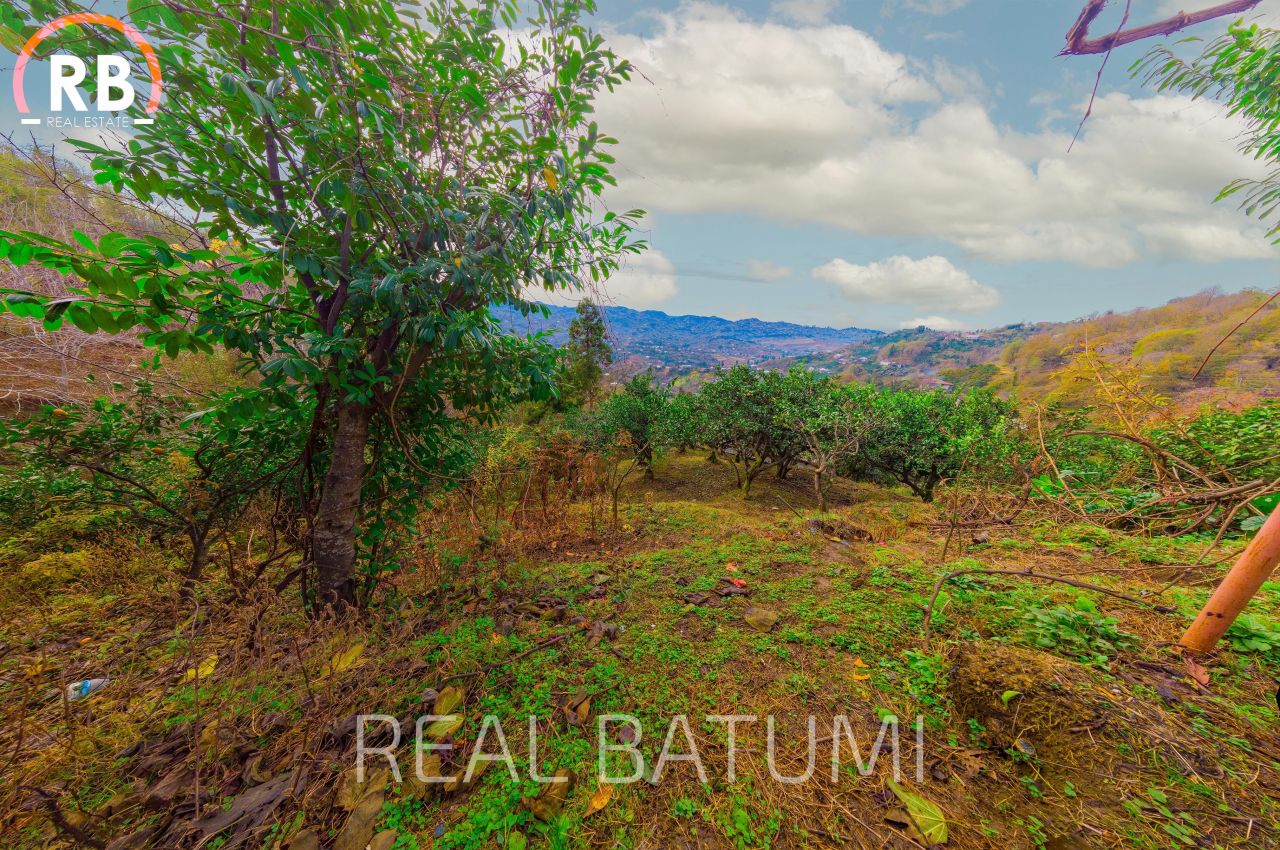 Земля в Батуми, Грузия, 2 504 м² - фото 4