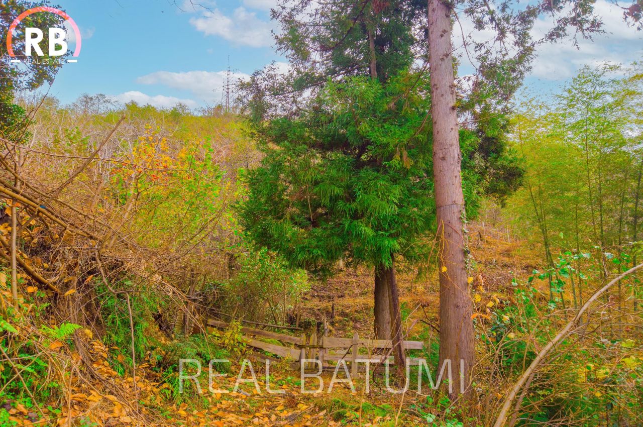 Земля в Батуми, Грузия, 2 504 м² - фото 9