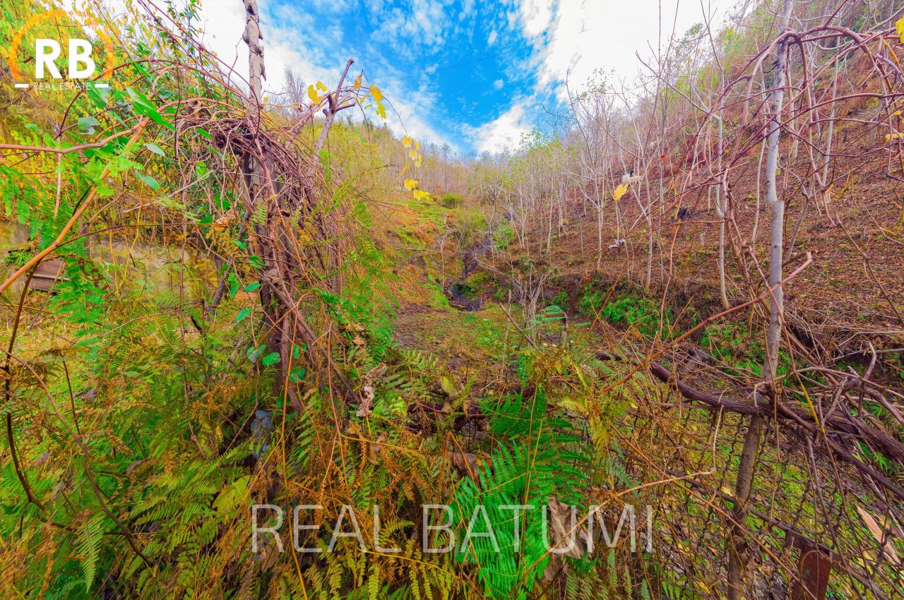 Земля в Батуми, Грузия, 2 504 м² - фото 11