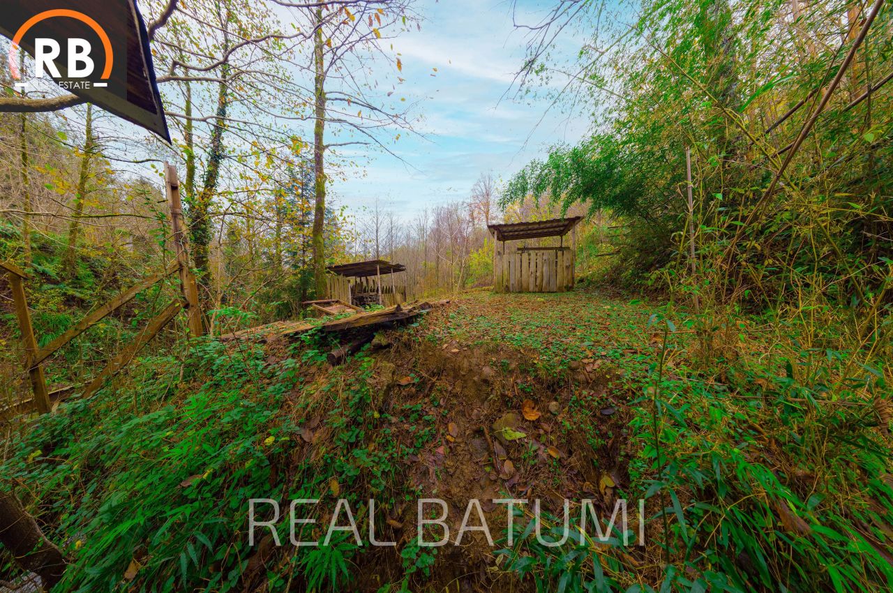 Земля в Батуми, Грузия, 1 500 м² - фото 11