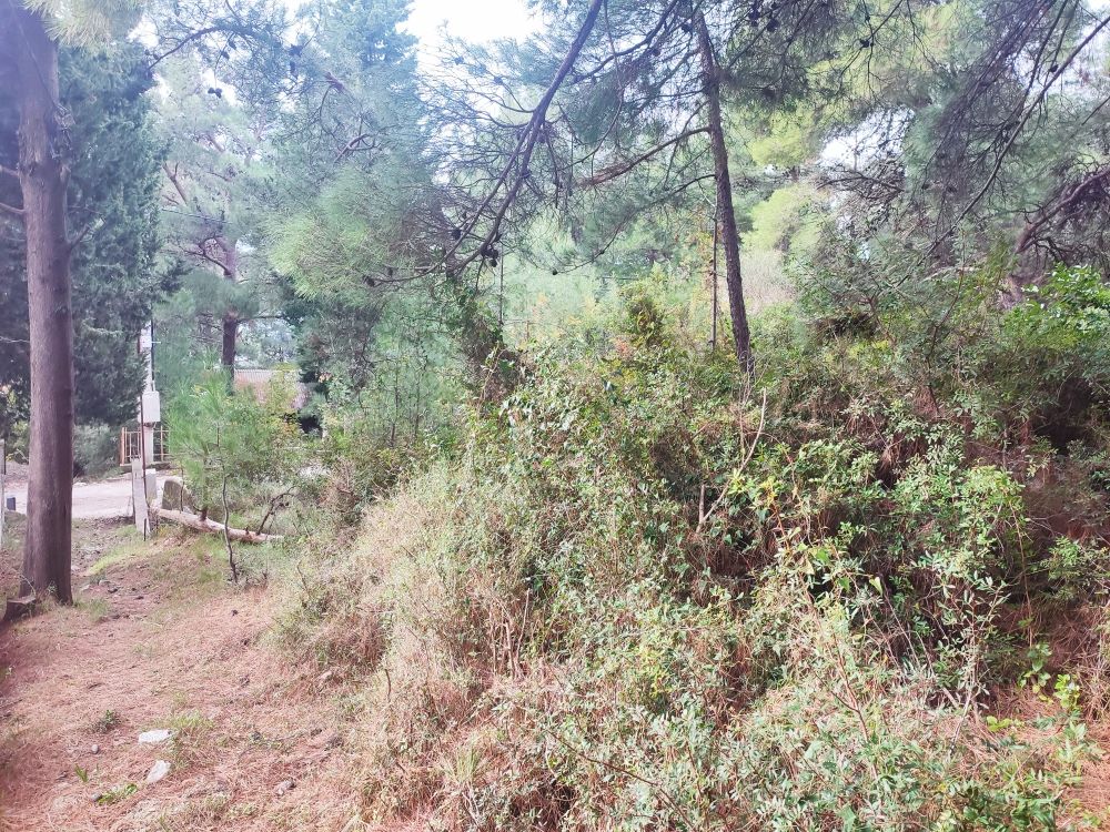 Земля в Баре, Черногория, 400 м² - фото 6