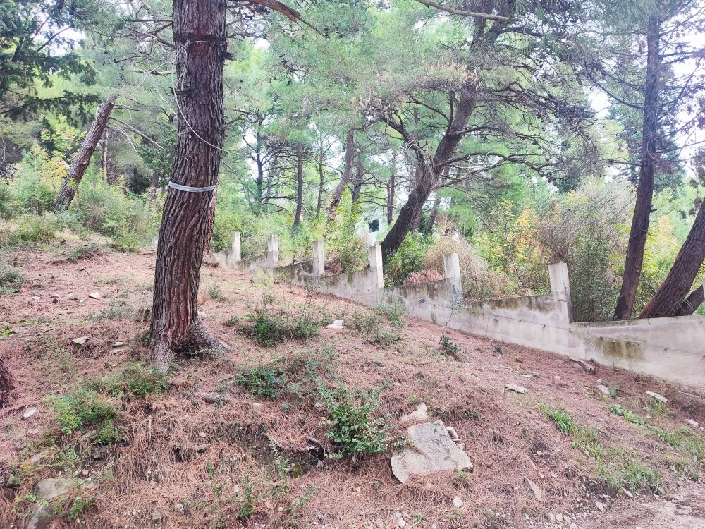 Земля в Баре, Черногория, 400 м² - фото 14