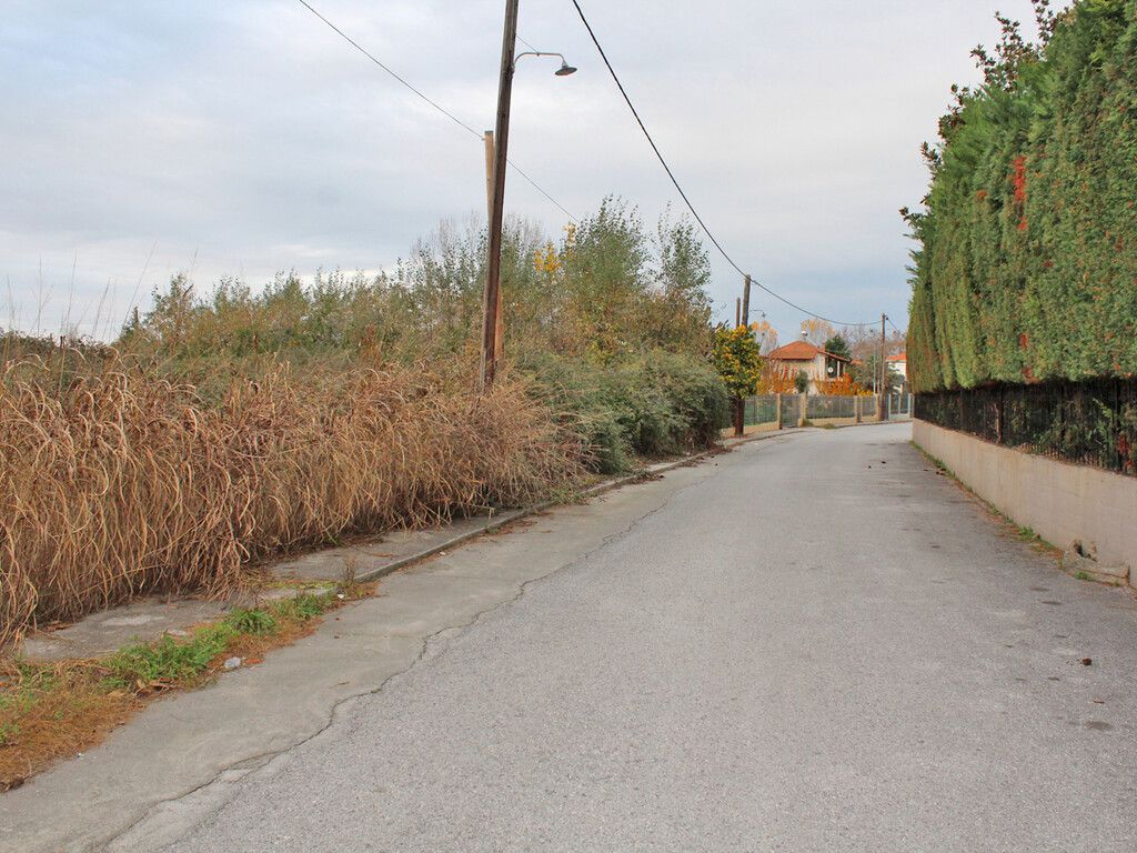 Земля в Олимпиаки-Акти, Греция, 9 280 м² - фото 2