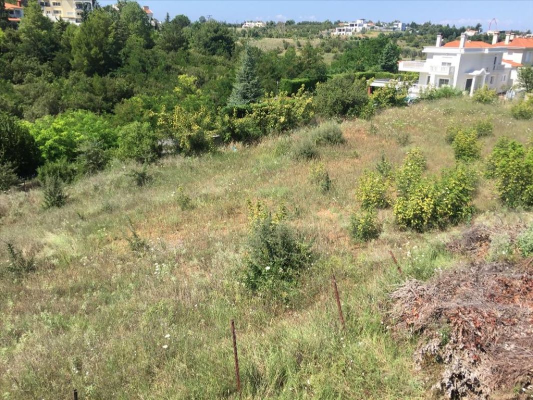 Земля на Ионических островах, Греция, 2 500 сот. - фото 1
