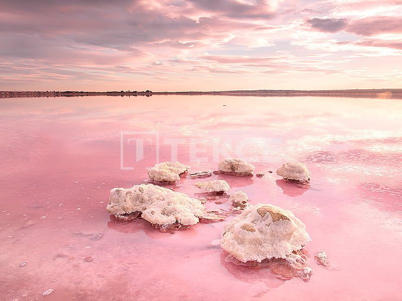 Пентхаус в Торревьехе, Испания, 59 м² - фото 12