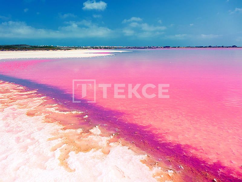 Апартаменты в Торревьехе, Испания, 93 м² - фото 13