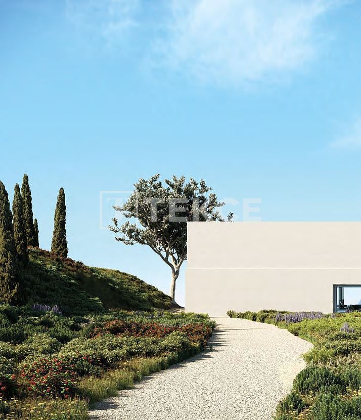 Земля в Сан-Роке, Испания, 10 724 м² - фото 13