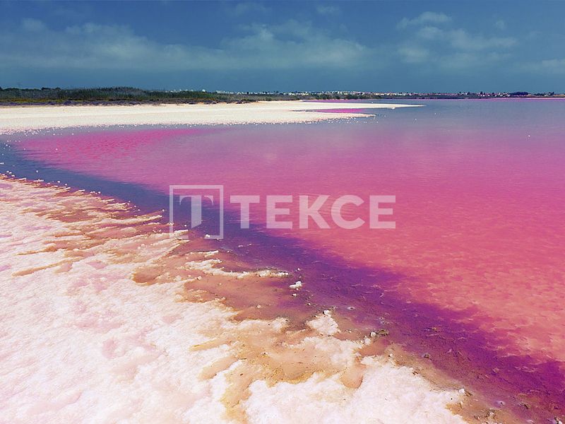 Апартаменты в Торревьехе, Испания, 59 м² - фото 14