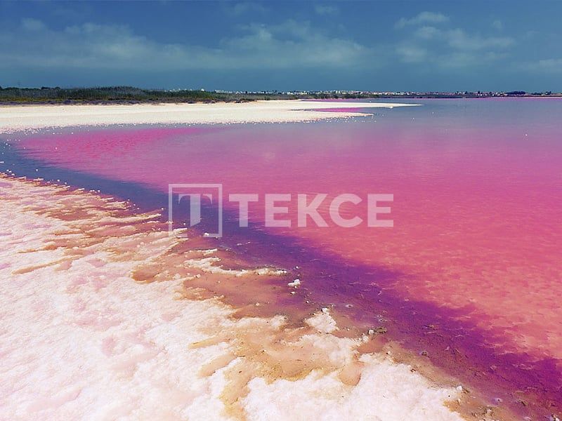 Апартаменты в Торревьехе, Испания, 69 м² - фото 14