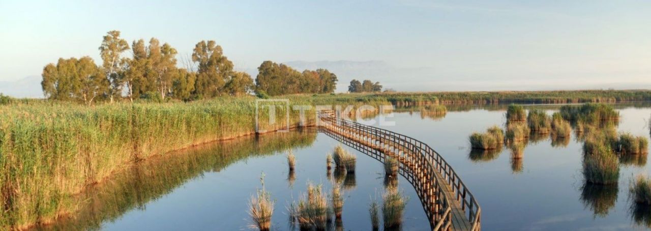 Вилла в Сан-Фульхенсио, Испания, 305 м² - фото 19