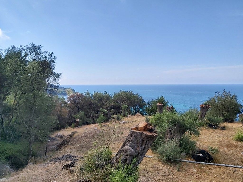 Земля на Корфу, Греция, 8 600 м² - фото 17