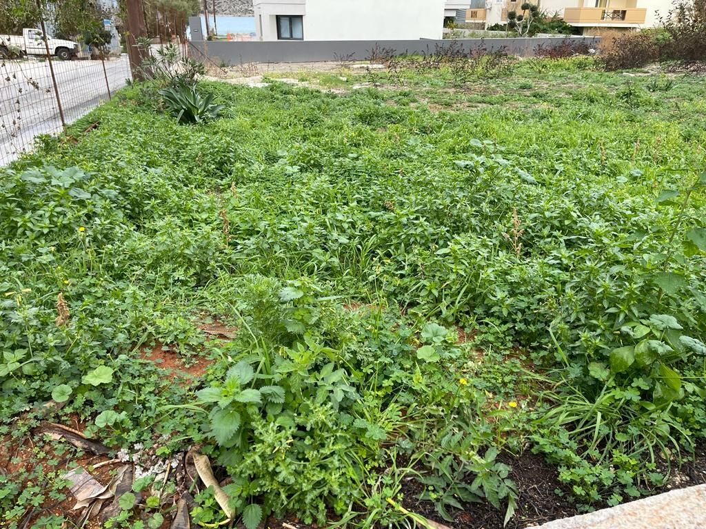 Земля в Ираклионе, Греция, 200 м² - фото 3