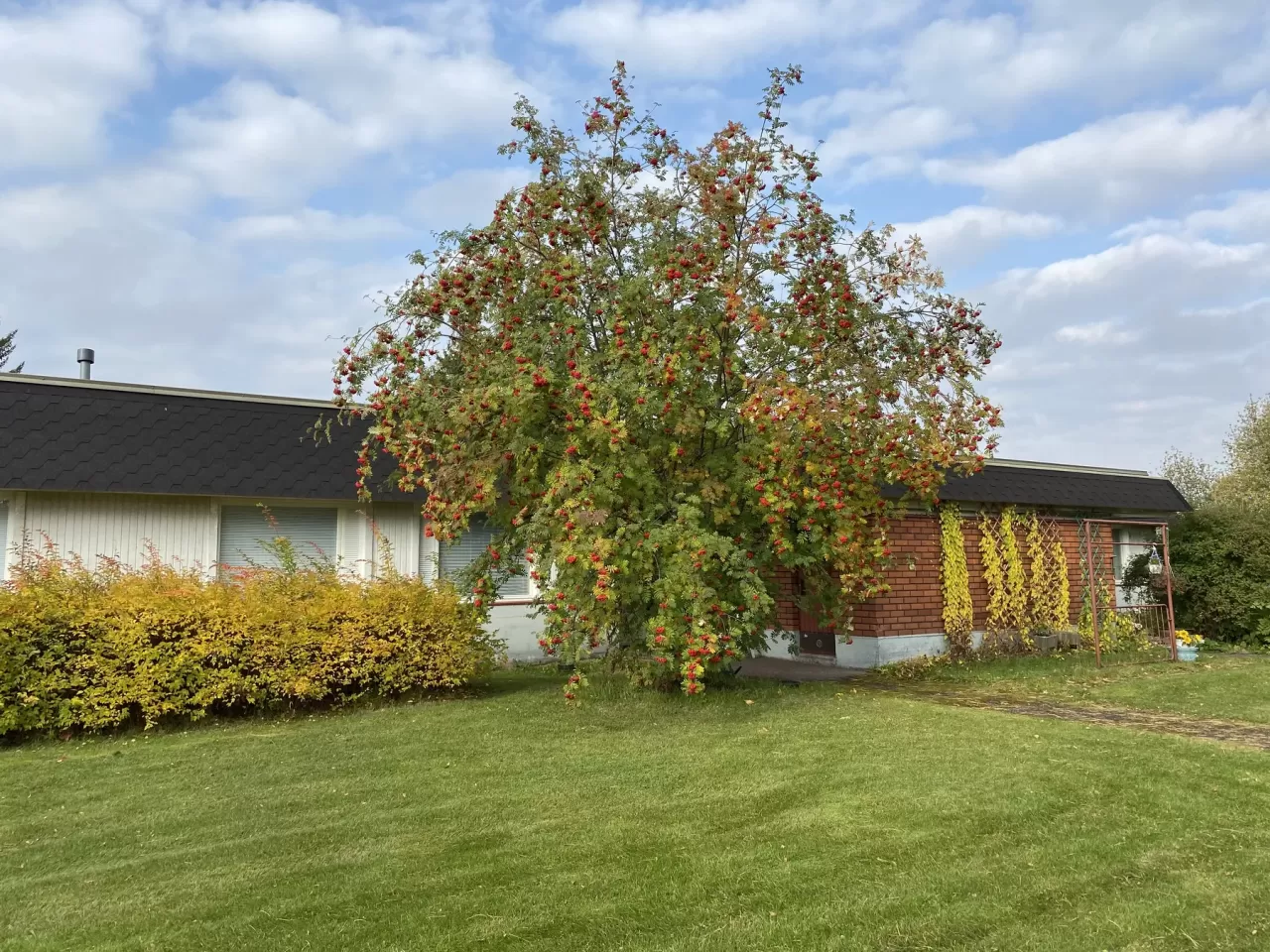 Таунхаус в Оулу, Финляндия, 119 м² - фото 16