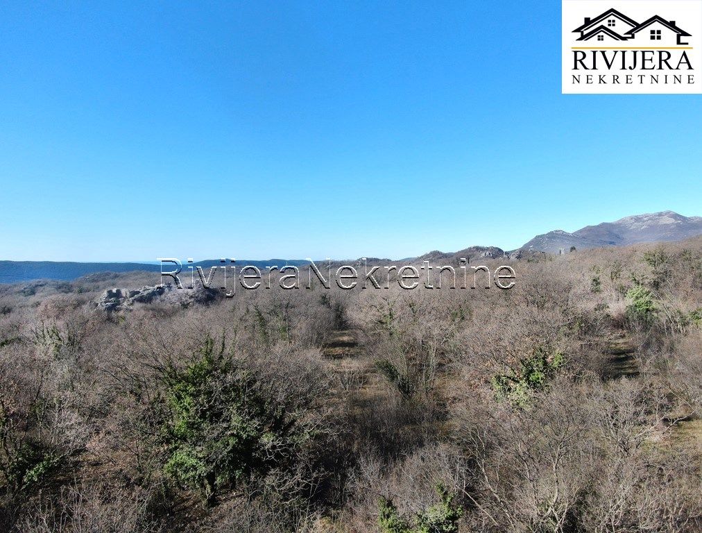 Земля в Херцег-Нови, Черногория, 1 826 м² - фото 5