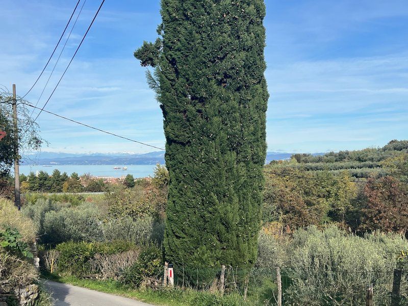 Дом в Изоле, Словения, 238 м² - фото 3