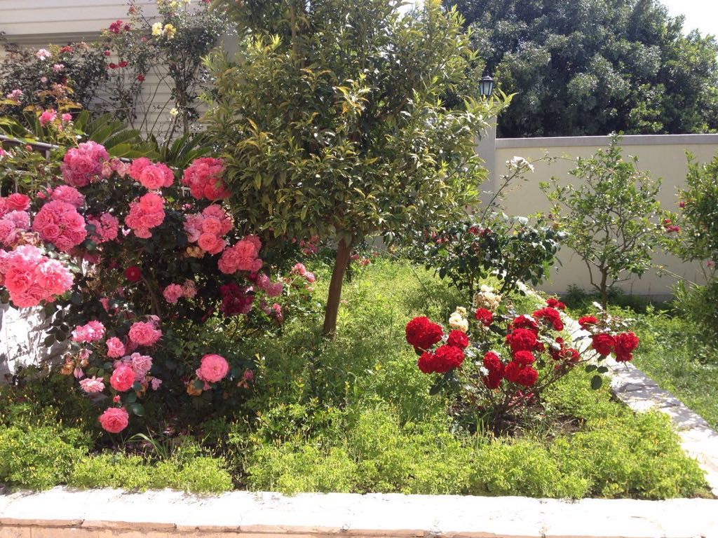 Дом в Утехе, Черногория, 330 м² - фото 3