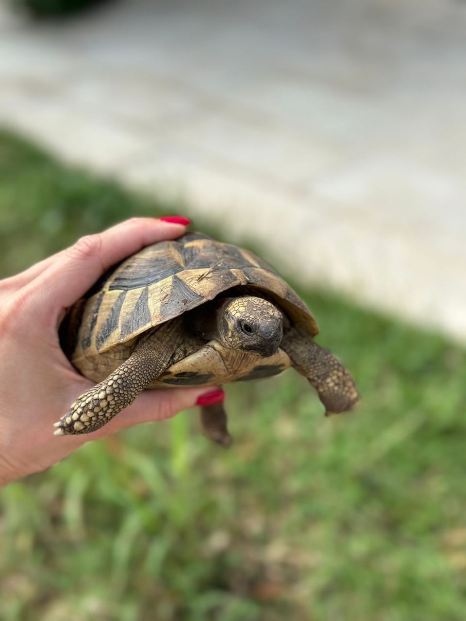 Квартира в Которе, Черногория, 84 м² - фото 7