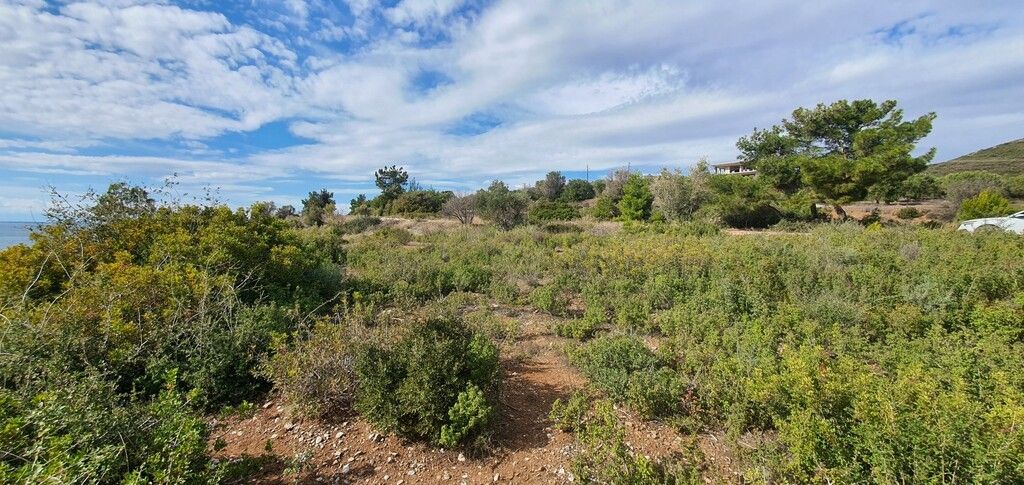 Земля в Ситонии, Греция, 4 913 м² - фото 7