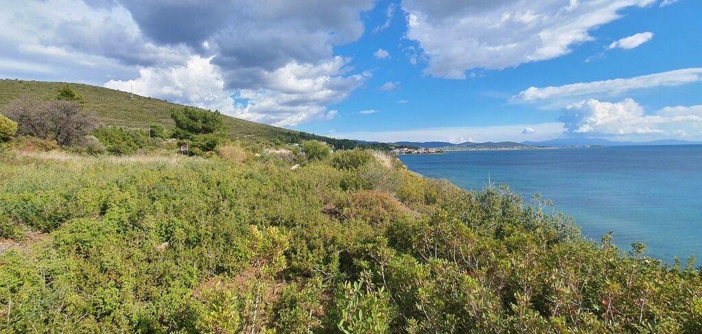 Земля в Ситонии, Греция, 4 913 м² - фото 8