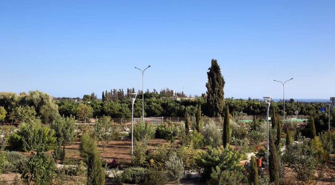 Таунхаус в Пафосе, Кипр, 100 м² - фото 4