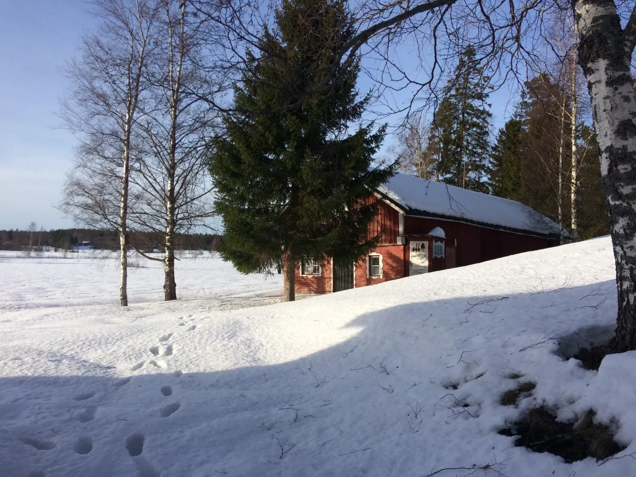 Дом в Пюхтяя, Финляндия, 80 м² - фото 12