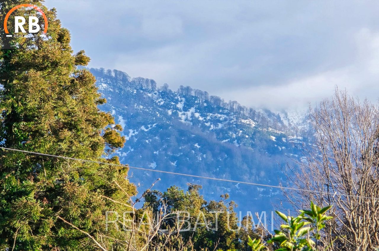 Дом в Батуми, Грузия, 200 м² - фото 7