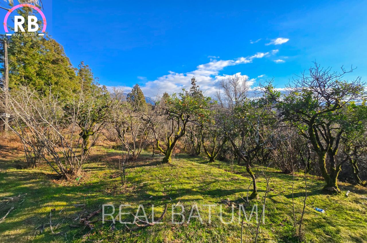 Дом в Батуми, Грузия, 200 м² - фото 6