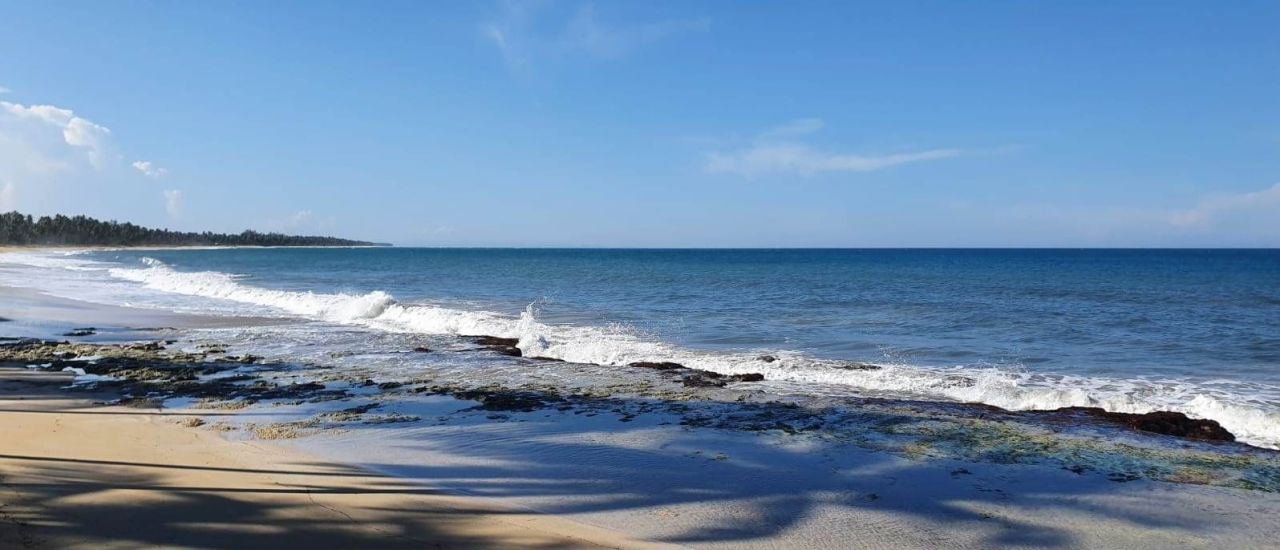 Земля в Пунта-Кана, Доминиканская Республика, 3 999 м² - фото 2