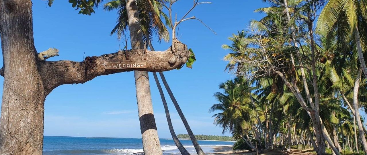 Земля в Пунта-Кана, Доминиканская Республика, 3 999 м² - фото 3