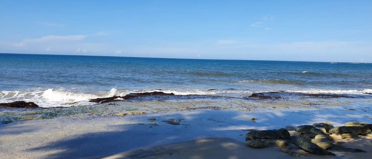 Земля в Пунта-Кана, Доминиканская Республика, 3 999 м² - фото 6