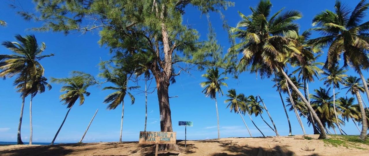 Земля в Пунта-Кана, Доминиканская Республика, 3 999 м² - фото 8