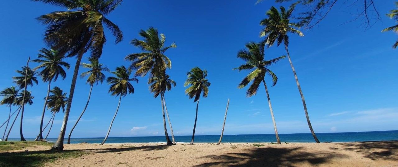 Земля в Пунта-Кана, Доминиканская Республика, 3 999 м2 - фото 1