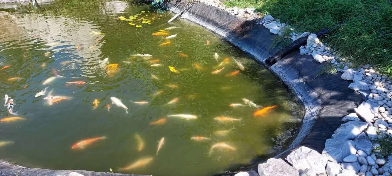 Дом в Белграде, Сербия, 283 м² - фото 13