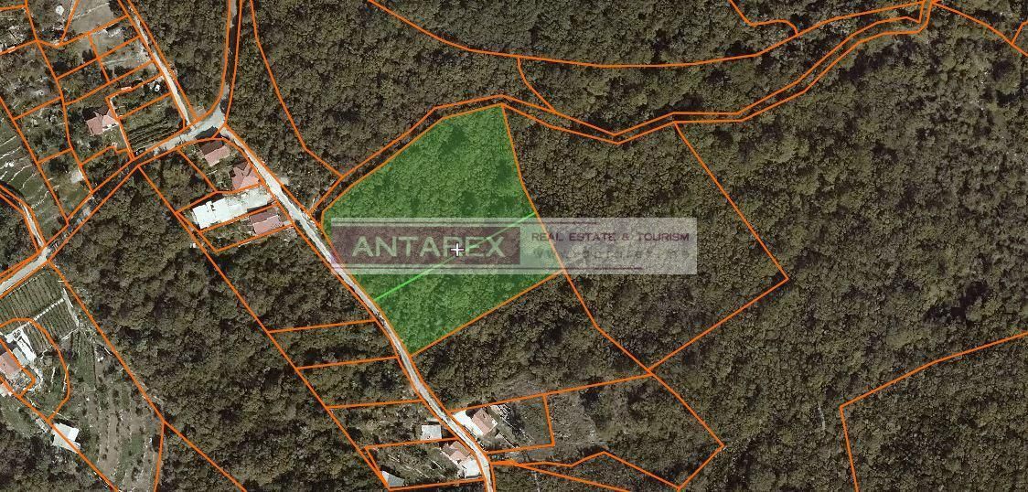 Земля в Зеленике, Черногория, 12 263 м² - фото 2