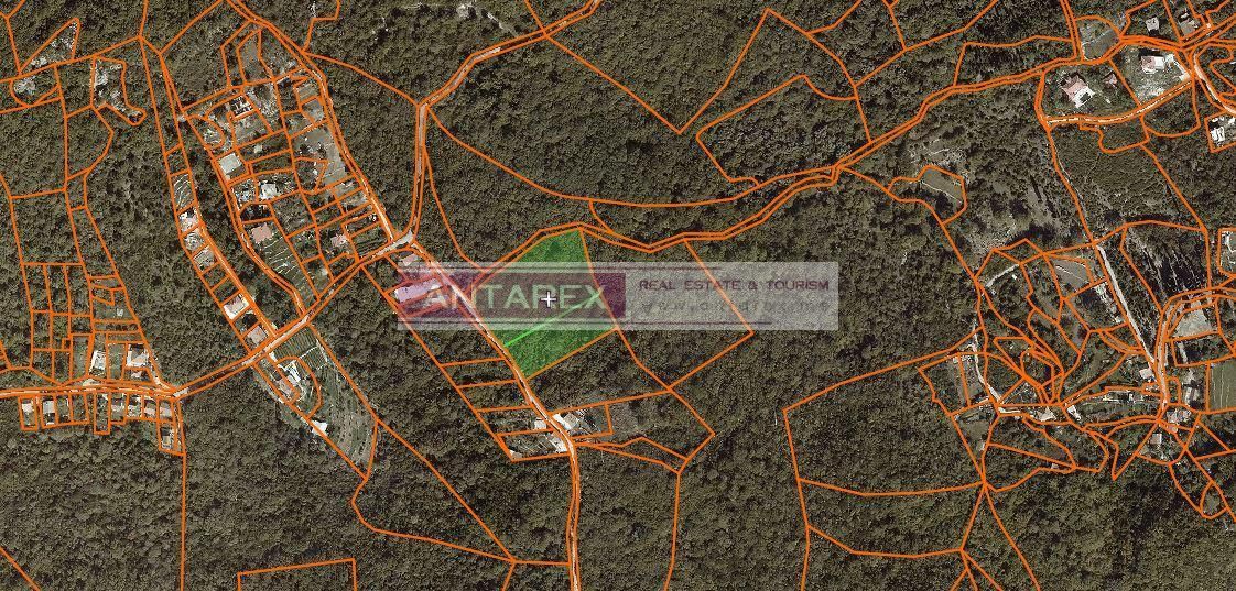 Земля в Зеленике, Черногория, 12 263 м² - фото 3