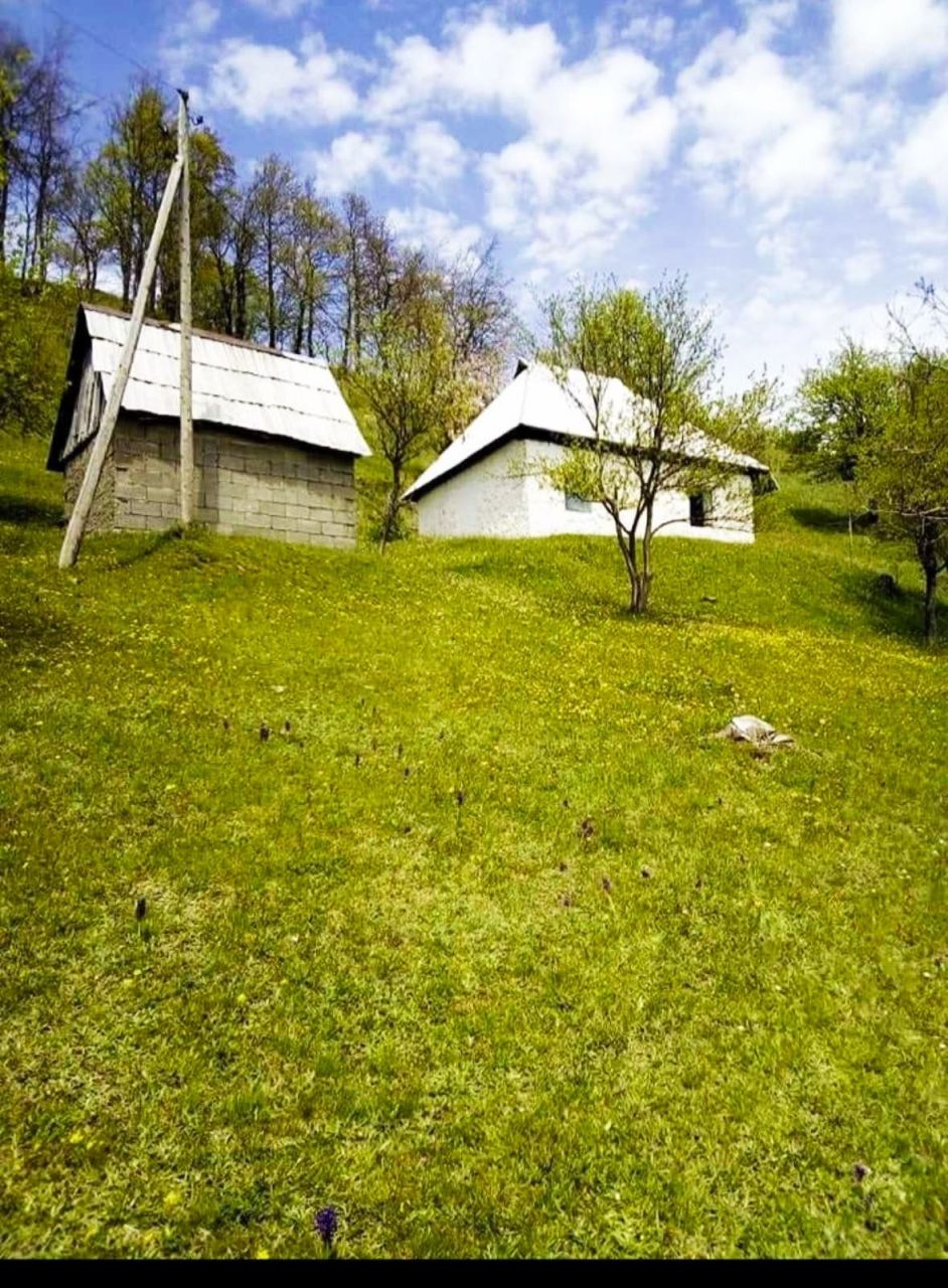 Земля в Мойковаце, Черногория, 3.1 Га - фото 2