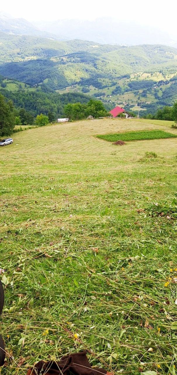 Земля в Мойковаце, Черногория, 3.1 Га - фото 4