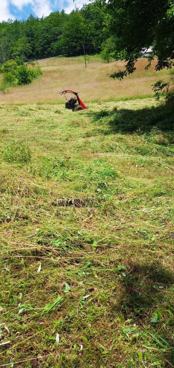 Земля в Мойковаце, Черногория, 3.1 Га - фото 7