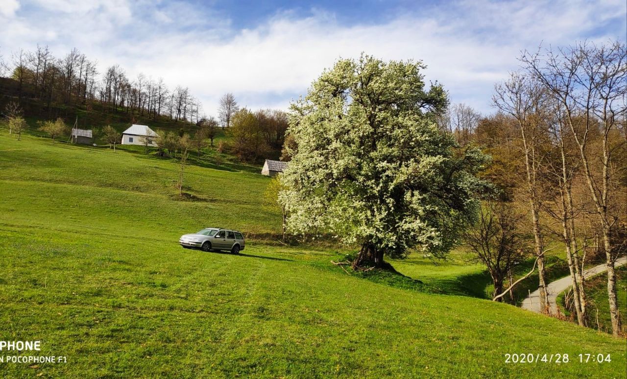 Земля в Мойковаце, Черногория, 3.1 Га - фото 10