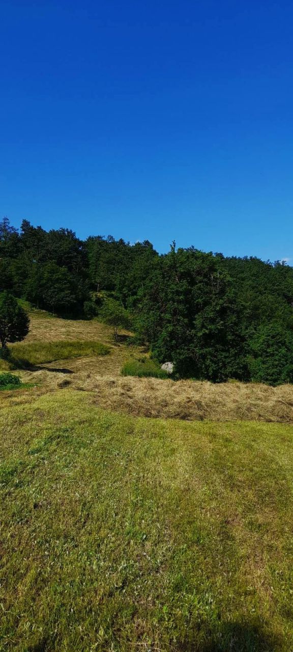 Земля в Мойковаце, Черногория, 3.1 Га - фото 12