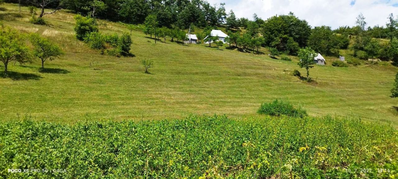 Земля в Мойковаце, Черногория, 3.1 Га - фото 11