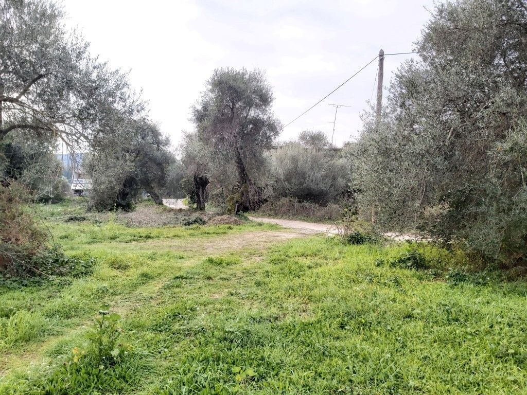 Земля на Корфу, Греция, 2 307 м² - фото 7