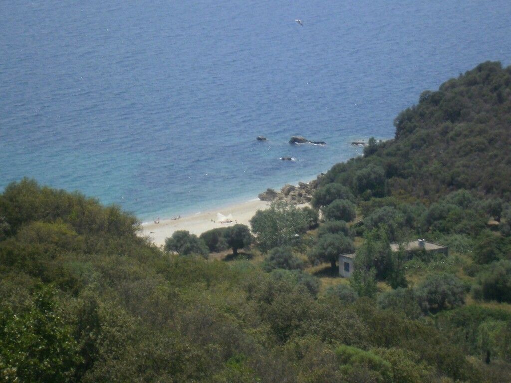 Земля на Халкидиках, Греция, 6 070 м² - фото 8