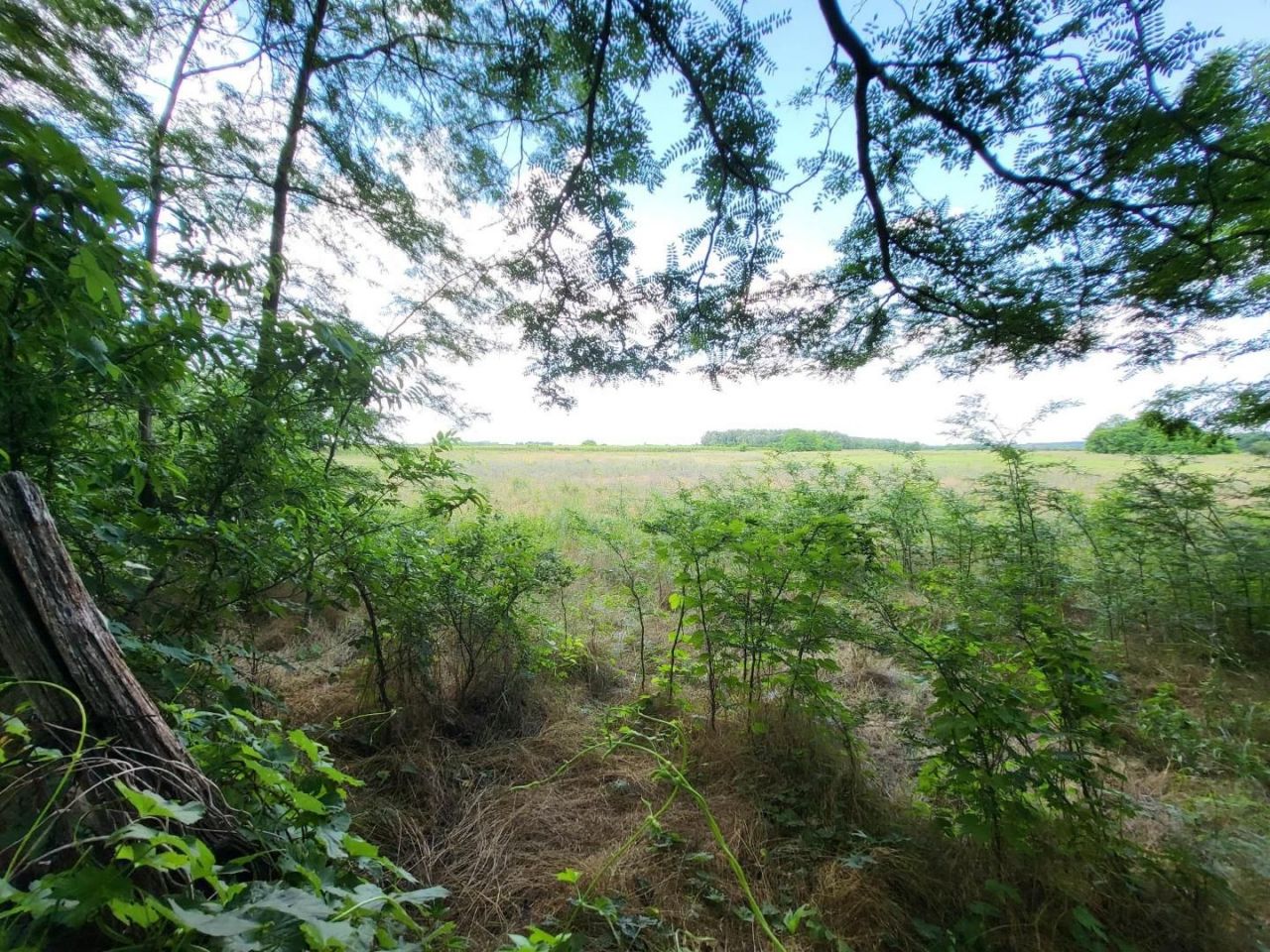 Земля Örkény, Венгрия, 480 000 м² - фото 2