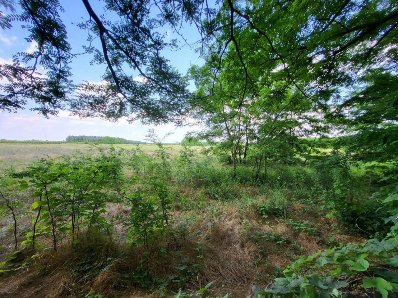 Земля Örkény, Венгрия, 480 000 м² - фото 4